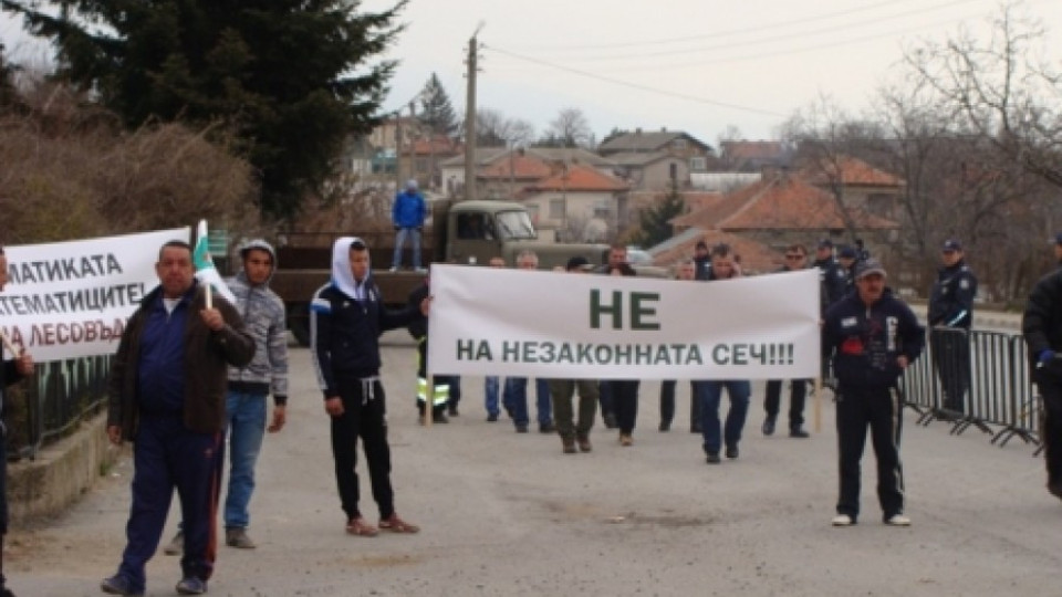 И балканджиите протестираха срещу забраната за износ на дървесина | StandartNews.com