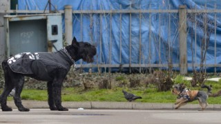 Просветва във вторник сутрин 