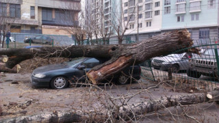 ВИДЕО: Ураганен вятър тормози Москва 