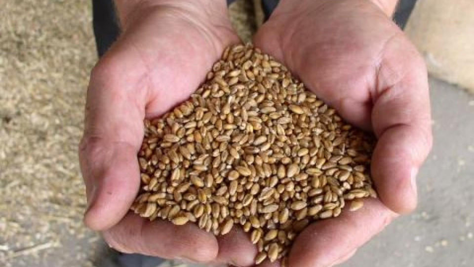 Проверяват обекти за търговия и съхранение на зърно в Кърджалийско | StandartNews.com