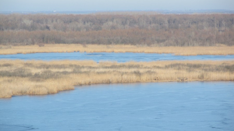 Птичи грип мори птици по делтата на Дунав | StandartNews.com