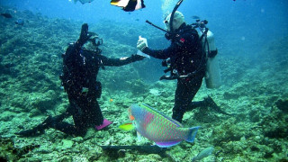 Водолази празнуват Великден на морското дъно