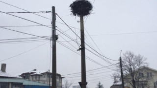 Зимата се завърна с априлски сняг 