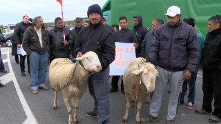Животновъди блокираха пътя към Турция