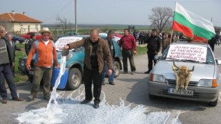 Хазната отпуска помощ за млекарите