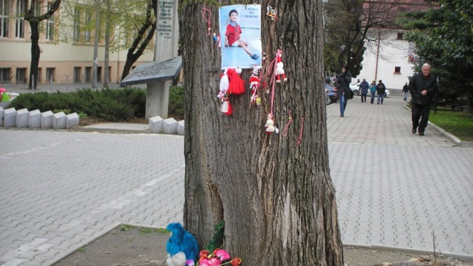 С чужда пита майчин помен | StandartNews.com