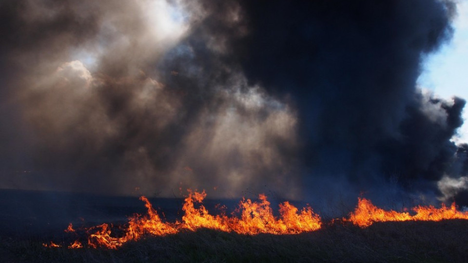 Пожарът в Струмяни е овладян | StandartNews.com
