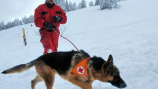 Двама се загубиха в планината