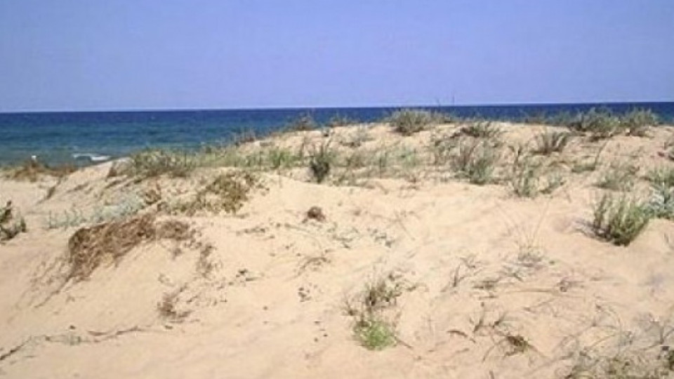 Община Несебър: Никой не заграбва дюните, само променяме ПУП-а | StandartNews.com