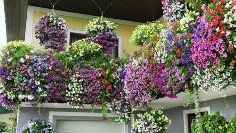 Конкурс за балкони и градини обявиха в Разград | StandartNews.com