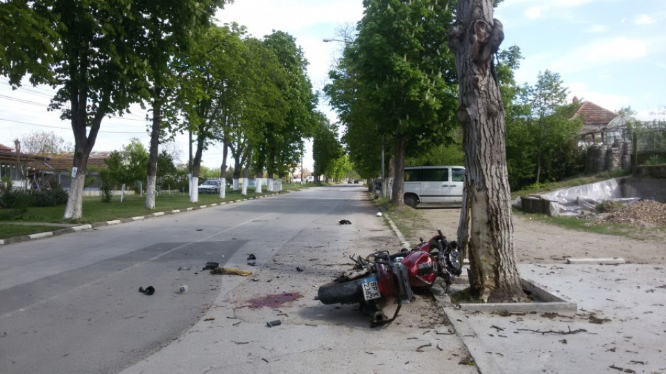 Моторист загуби живота си след удар в дърво | StandartNews.com