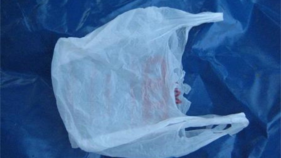 Забраняват безплатните найлонови торбички в ЕС | StandartNews.com