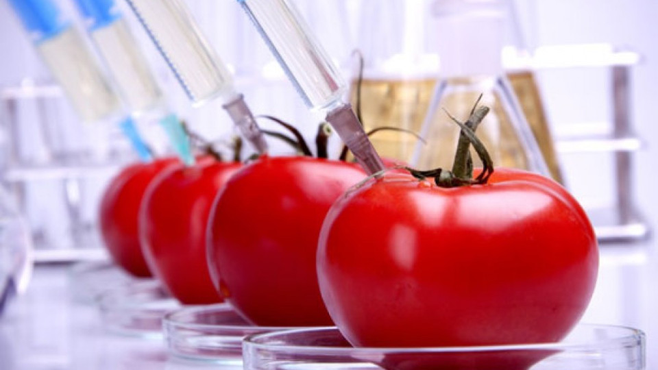 Вносът на ГМО в Европа спъва договора със САЩ | StandartNews.com