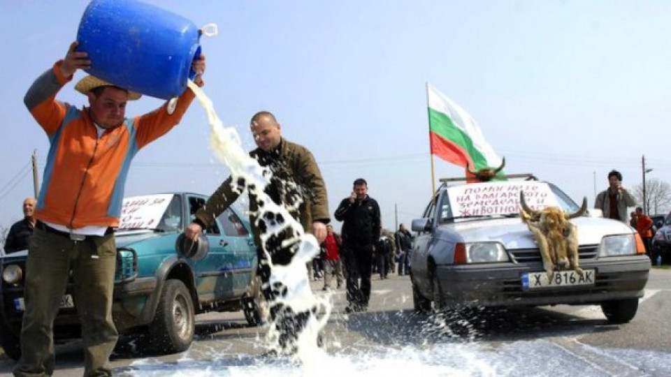 Млекопроизводители се канят да блокират граници | StandartNews.com
