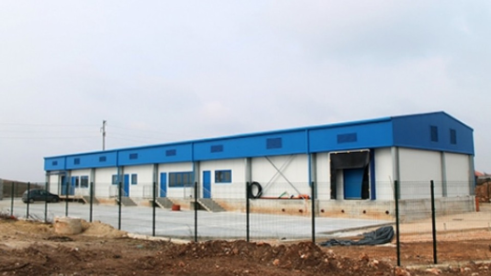 Откриват фабрика за рапани в Каварна | StandartNews.com