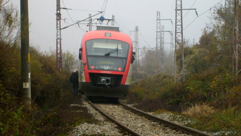 Паднало дърво спря движението на влакове между Белозем и Оризово | StandartNews.com