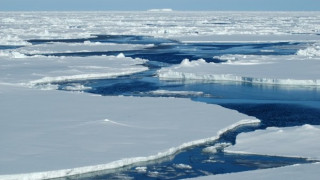 Ледът на Северния ледовит океан се стопява до 25 години