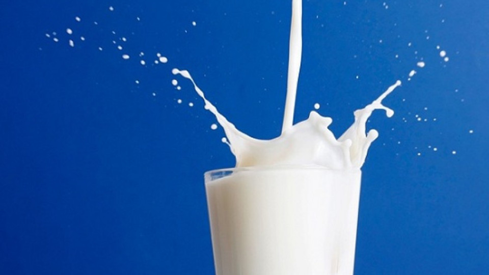 Мляко по БДС само от български крави | StandartNews.com