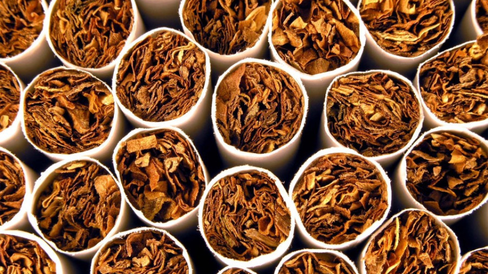 Над 132 кг тютюн без документи задържаха на Митница Лом | StandartNews.com