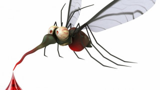 Изгонете комарите с натурални средства