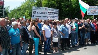 Фермерите на протест, след месец вадят животните на Дунав мост