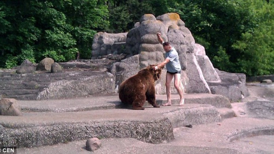 Пиян влезе при мечка, удари я и избяга (СНИМКИ) | StandartNews.com