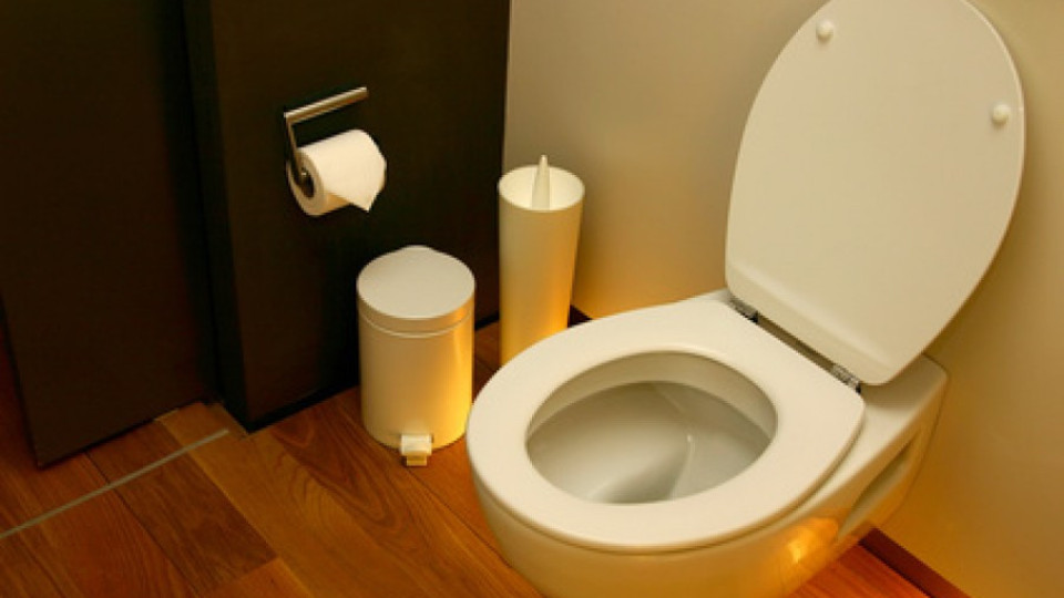 3 тона злато за тоалетна | StandartNews.com