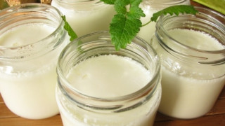 Честват 110 г. от откриването на тайната на киселото мляко