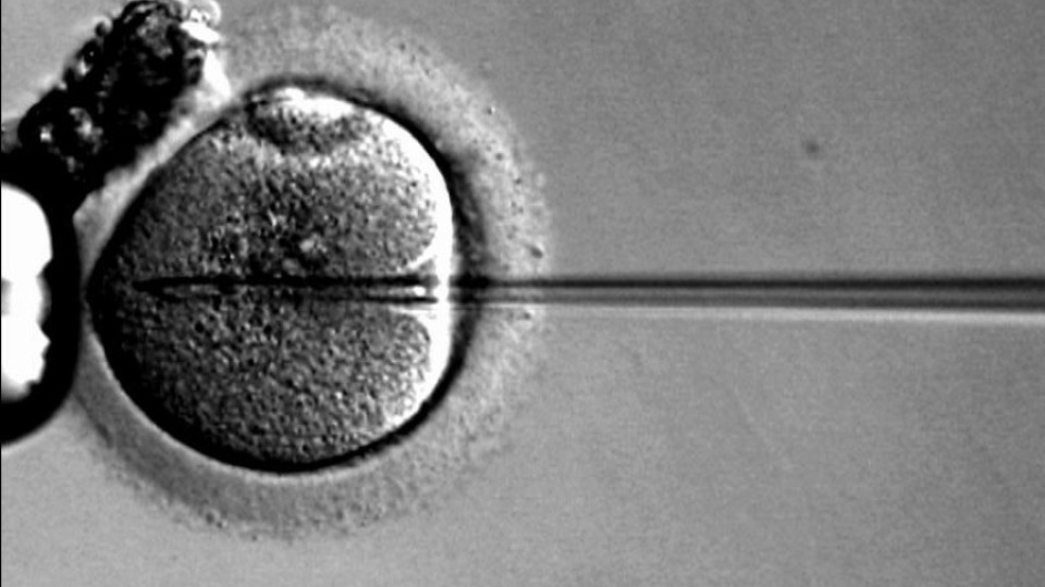 За пръв път жена роди със замразена яйцеклетка | StandartNews.com