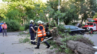 Мълния подпали две къщи, вятър събори 12 дървета