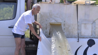 Зарибиха Дунав с 50 хил. чиги