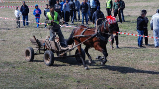 Калфин дава 1 млн. лв. за реклама