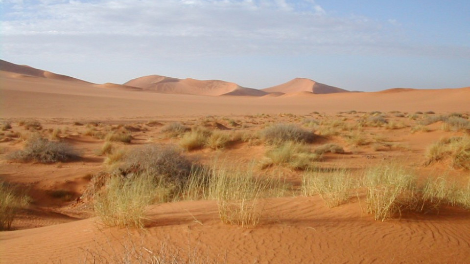 18 мигранти открити мъртви в Сахара | StandartNews.com