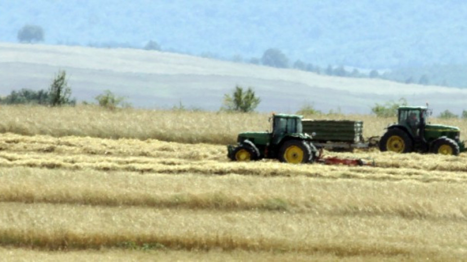 Кризата в Украйна  вдига цената на житото | StandartNews.com