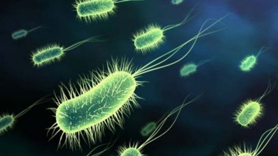 Дръжка за врата трепе микробите | StandartNews.com