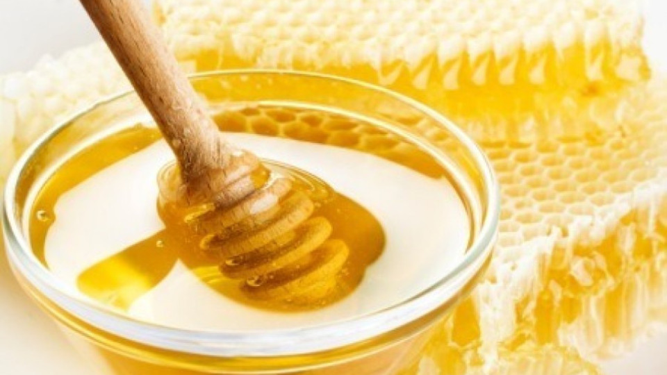 Новите изисквания за меда влизат в сила | StandartNews.com