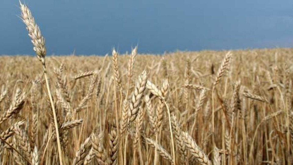 Земеделци искат нови закони за кражбите | StandartNews.com