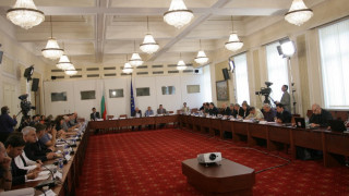Близнашки видя проблем с ремонта на конституцията