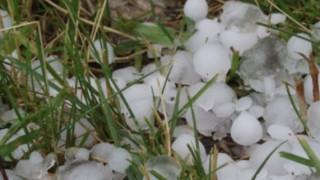Комисията за защита на конкуренцията проверява спазват ли се правилата за конкуренция на пазара на горива.
