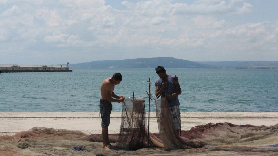 Храним гърци с риба на кредит | StandartNews.com
