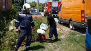 Шок във Варненско: Овчар и крава  умряха от антракс (ОБЗОР)