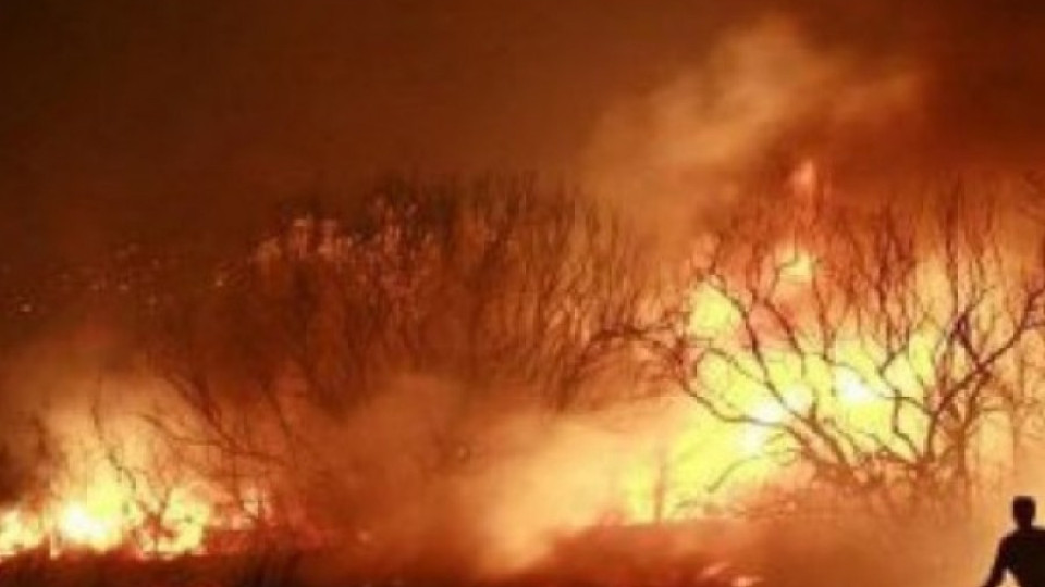 Българин и грък се топят за пожара в Атина | StandartNews.com