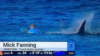 Акула нападна сърфист на състезание (ВИДЕО)