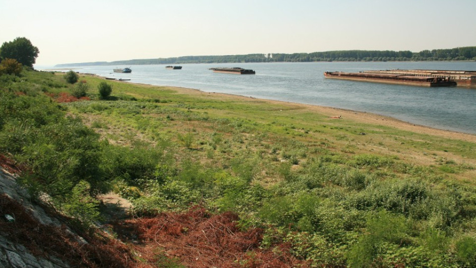 Дунав спада, корабите – пред засядане | StandartNews.com