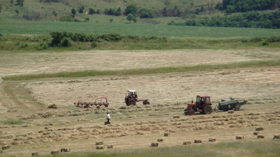 Земеделци остават без работници на полето | StandartNews.com
