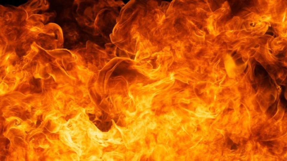 Огън изпепели лозе, фураж, бараки и овошки | StandartNews.com