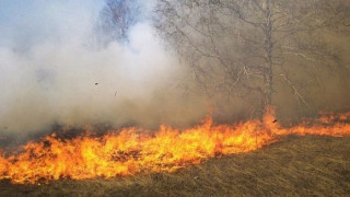 Пожар в Рила обхвана 50 декара