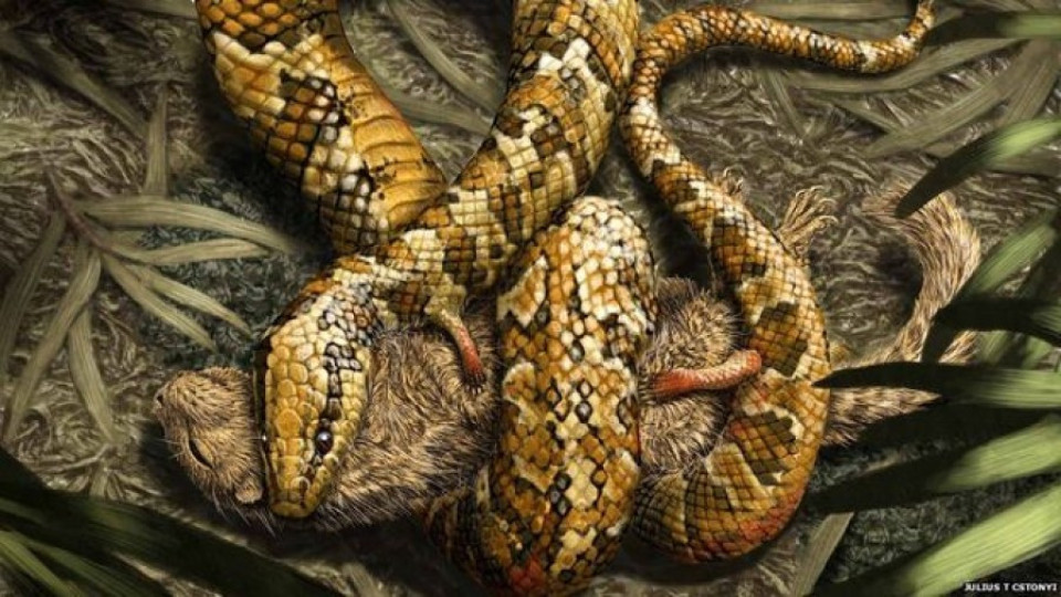 Откриха фосил на четиринога змия | StandartNews.com