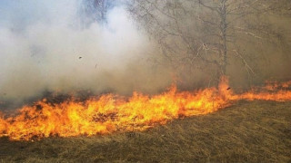 Пожарът над Рилския манастир обхвана 100 декара 