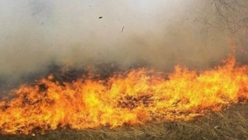 Овладяха ситуацията в най-критичната част на пожара в Рила | StandartNews.com
